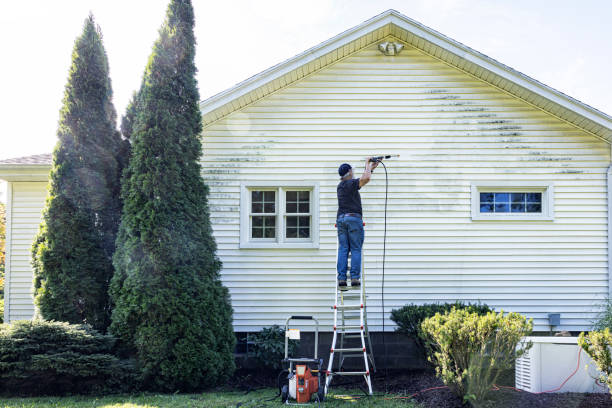 Professional Pressure Washing Services in Gibraltar, MI